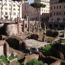 アレア・サクラ