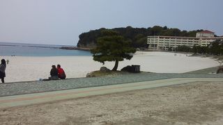 きれいな砂浜は西日本一