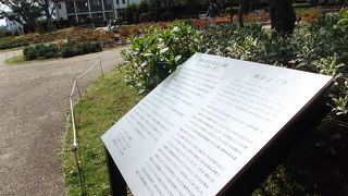 薔薇シーズンは圧巻でしょう