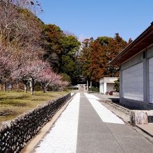 城山の入り口にある