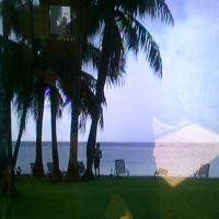 芝生からの景色