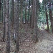 富士山がみえるかも