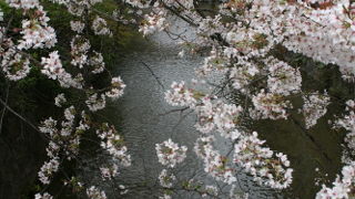 ロケーションフォトも。