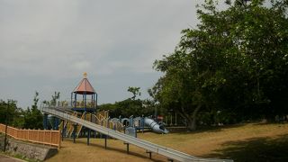 自然がいっぱいの広い公園