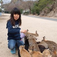 うさぎさんは島じゅう至るところにうじゃうじゃいます。