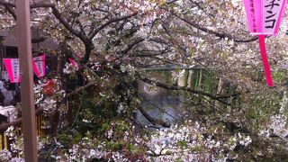 目黒川のお花見は、駅にも近いしお店もたっぷり