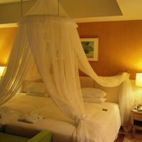 天蓋付のよく眠れそうなベッド