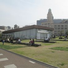 「像の鼻パーク」から見た「横浜税関本関庁舎」です