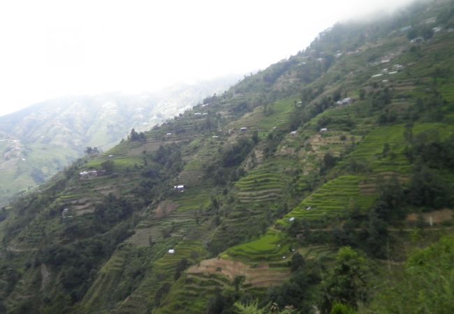 カトマンドゥ盆地は棚田の競演であることが良く分かるトリスリ・ハイウェイ