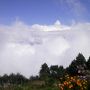 天候さえ良ければ雲ではなくヒマラヤの大パノラマが見えたハズ