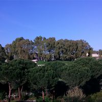 部屋からの眺め　緑がきれい