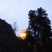 公園からの松江城。ライトアップで金色に!!