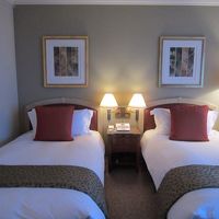 デラックスツイン