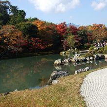 庭園からの景色