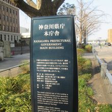 「日本大通り」の植え込みの中に、解説がありました