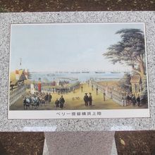 …この有名な絵に描かれている「玉楠の木」の子孫とされています