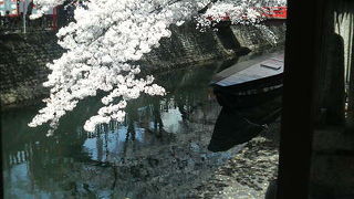 大垣の古い木船が残る桜の撮影スポット