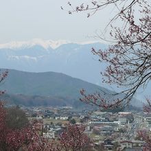 二の丸の桜の蕾と遥か遠くのアルプス