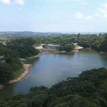 カンムリワシ展望台から眺める石垣ダム方面の景観