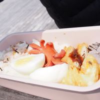 手作りのお弁当です