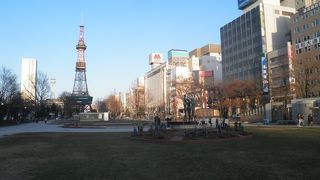 雪が溶けて芝生が見える