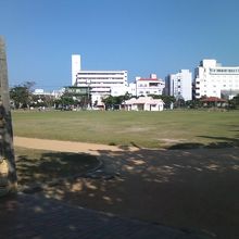 公園の遠景