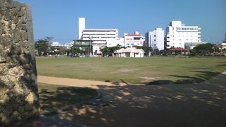 意外と見所が満載の公園です