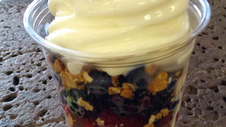 ヘルシーフローズンヨーグルトで美味しく爽快なひととき。