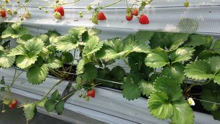 接客がイマイチ