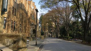 重厚な雰囲気を醸し出すキャンパス群