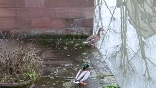 ルイーズ ワイス公園