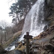 回りはまだ枯れ木です。