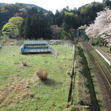 桜色の駅舎