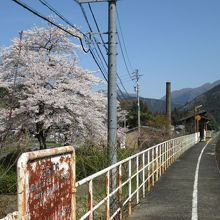 春の雰囲気漂う無人駅