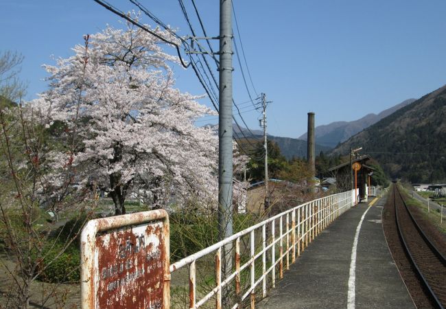 静かな春を感じます