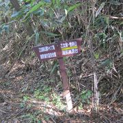 金時山への登山口