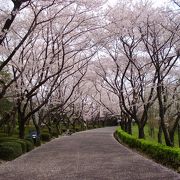 県下最大の自然公園