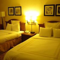 客室部分はスタンダードな造りでした