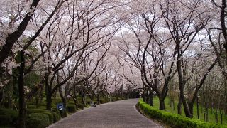 県下最大の自然公園