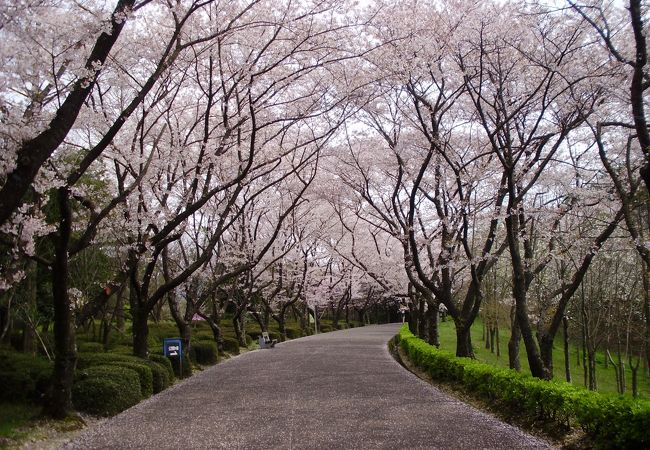 県下最大の自然公園