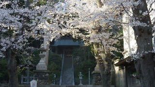 あまなわしんめいしゃ