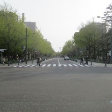 通りの突き当り、「象の鼻パーク」から出発…広い道路ですよね