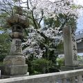 桜が綺麗なお寺でした。