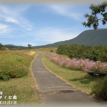 空気が美味しいです