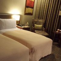 綺麗な客室 天井が高いので 広く感じる 十分な広さ