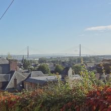 少し低い位置から。