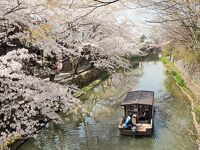 八幡堀めぐり