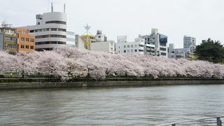 対岸の方から見たり、橋の上から見たり