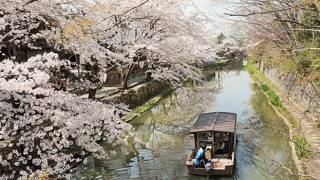 八幡堀めぐり