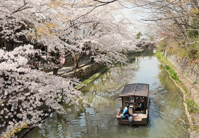 八幡堀めぐり